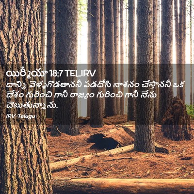 Picture 02 - యిర్మీయా 18:7 TELIRV - దాన్ని - Bible Verse Picture