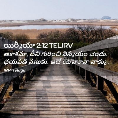 Picture 02 - యిర్మీయా 2:12 TELIRV - ఆకాశమా, దీని - Bible Verse Picture