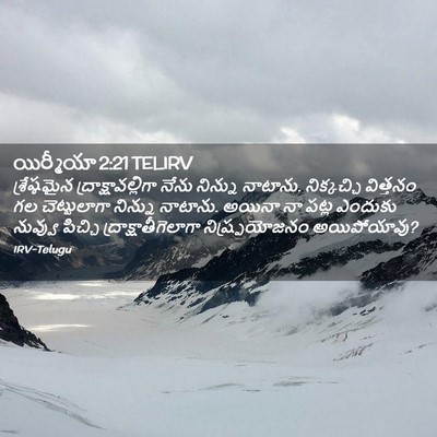 Picture 02 - యిర్మీయా 2:21 TELIRV - శ్రేష్ఠమైన - Bible Verse Picture