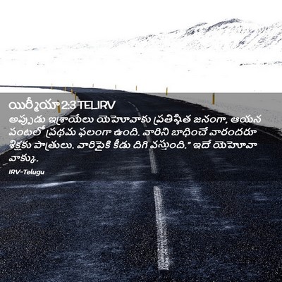 Picture 02 - యిర్మీయా 2:3 TELIRV - అప్పుడు ఇశ్రాయేలు - Bible Verse Picture