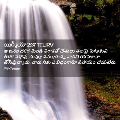 Picture 02 - యిర్మీయా 2:37 TELIRV - ఆ జనం దగ్గర నుండి - Bible Verse Picture