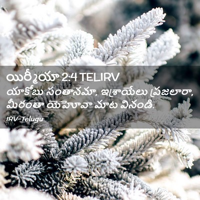 Picture 02 - యిర్మీయా 2:4 TELIRV - యాకోబు సంతానమా, - Bible Verse Picture