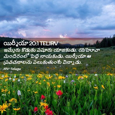 Picture 02 - యిర్మీయా 20:1 TELIRV - ఇమ్మేరు కొడుకు - Bible Verse Picture