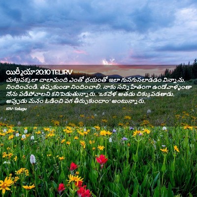 Picture 02 - యిర్మీయా 20:10 TELIRV - చుట్టుపక్కలా - Bible Verse Picture