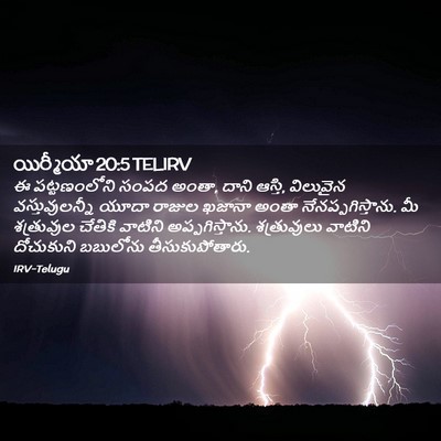 Picture 02 - యిర్మీయా 20:5 TELIRV - ఈ పట్టణంలోని సంపద - Bible Verse Picture