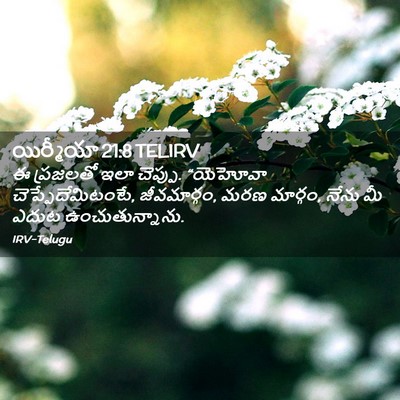Picture 02 - యిర్మీయా 21:8 TELIRV - ఈ ప్రజలతో ఇలా - Bible Verse Picture