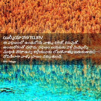 Picture 02 - యిర్మీయా 21:9 TELIRV - ఈ పట్టణంలో - Bible Verse Picture