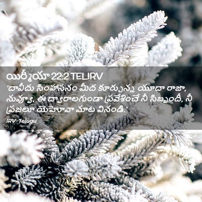 Picture 02 - యిర్మీయా 22:2 TELIRV - ‘దావీదు సింహాసనం - Bible Verse Picture