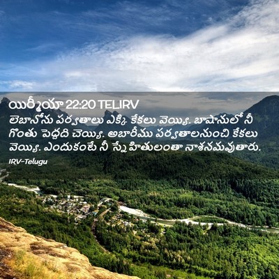 Picture 02 - యిర్మీయా 22:20 TELIRV - లెబానోను పర్వతాలు - Bible Verse Picture