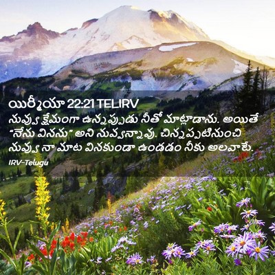 Picture 02 - యిర్మీయా 22:21 TELIRV - నువ్వు క్షేమంగా - Bible Verse Picture