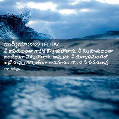 Picture 02 - యిర్మీయా 22:22 TELIRV - నీ కాపరులంతా - Bible Verse Picture