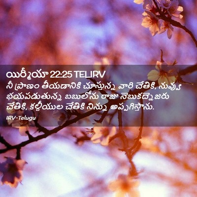 Picture 02 - యిర్మీయా 22:25 TELIRV - నీ ప్రాణం - Bible Verse Picture