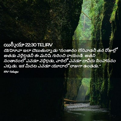 Picture 02 - యిర్మీయా 22:30 TELIRV - యెహోవా ఇలా - Bible Verse Picture