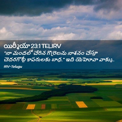 Picture 02 - యిర్మీయా 23:1 TELIRV - “నా మందలో చేరిన - Bible Verse Picture