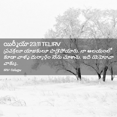 Picture 02 - యిర్మీయా 23:11 TELIRV - ప్రవక్తలూ యాజకులూ - Bible Verse Picture
