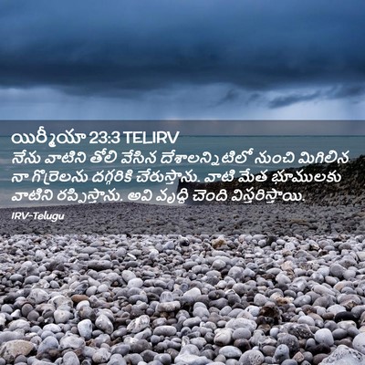 Picture 02 - యిర్మీయా 23:3 TELIRV - నేను వాటిని తోలి - Bible Verse Picture