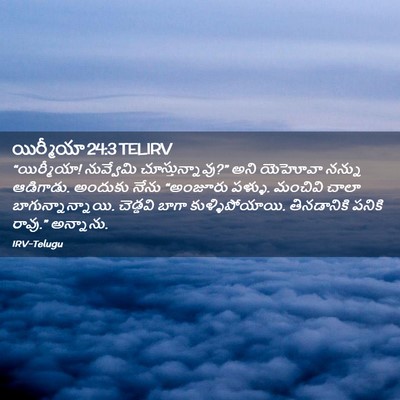 Picture 02 - యిర్మీయా 24:3 TELIRV - “యిర్మీయా! - Bible Verse Picture