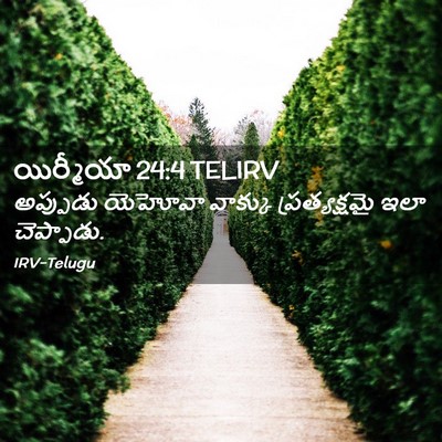 Picture 02 - యిర్మీయా 24:4 TELIRV - అప్పుడు యెహోవా - Bible Verse Picture