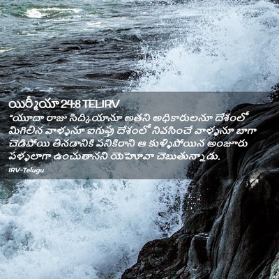 Picture 02 - యిర్మీయా 24:8 TELIRV - “యూదా రాజు - Bible Verse Picture