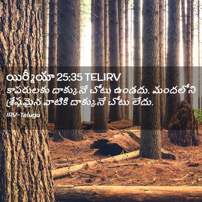Picture 02 - యిర్మీయా 25:35 TELIRV - కాపరులకు దాక్కునే - Bible Verse Picture