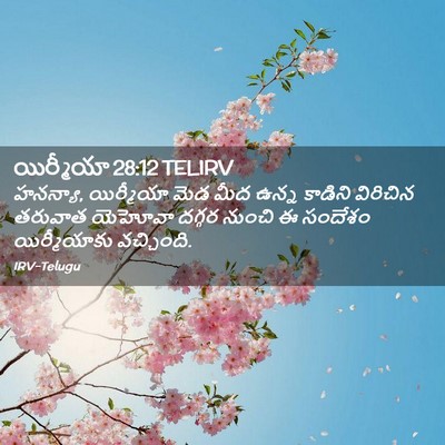 Picture 02 - యిర్మీయా 28:12 TELIRV - హనన్యా, యిర్మీయా - Bible Verse Picture