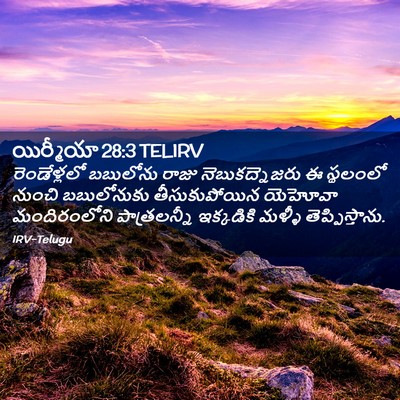 Picture 02 - యిర్మీయా 28:3 TELIRV - రెండేళ్లలో - Bible Verse Picture