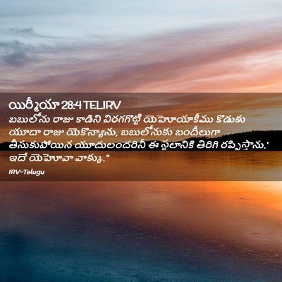 Picture 02 - యిర్మీయా 28:4 TELIRV - బబులోను రాజు - Bible Verse Picture