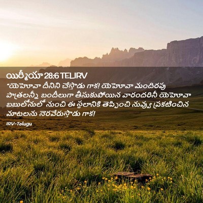 Picture 02 - యిర్మీయా 28:6 TELIRV - “యెహోవా దీనిని - Bible Verse Picture