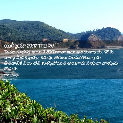 Picture 02 - యిర్మీయా 29:17 TELIRV - సేనల ప్రభువు అయిన - Bible Verse Picture
