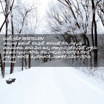 Picture 02 - యిర్మీయా 29:18 TELIRV - తరువాత ఖడ్గంతో, - Bible Verse Picture