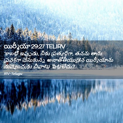 Picture 02 - యిర్మీయా 29:27 TELIRV - ‘కాబట్టి ఇప్పుడు, - Bible Verse Picture