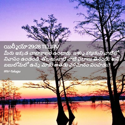 Picture 02 - యిర్మీయా 29:28 TELIRV - మీరు ఇక్కడ - Bible Verse Picture