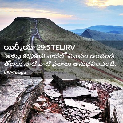 Picture 02 - యిర్మీయా 29:5 TELIRV - ‘ఇళ్ళు కట్టుకుని - Bible Verse Picture