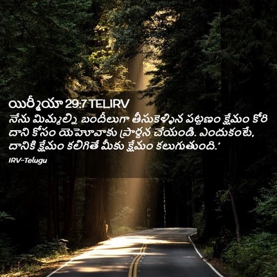 Picture 02 - యిర్మీయా 29:7 TELIRV - నేను మిమ్మల్ని - Bible Verse Picture