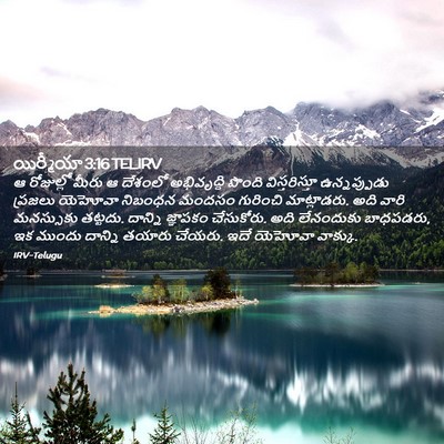 Picture 02 - యిర్మీయా 3:16 TELIRV - ఆ రోజుల్లో మీరు ఆ - Bible Verse Picture