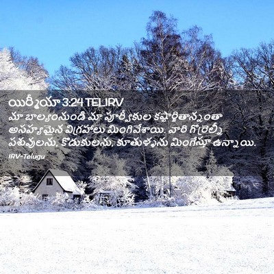 Picture 02 - యిర్మీయా 3:24 TELIRV - మా బాల్యంనుండి మా - Bible Verse Picture