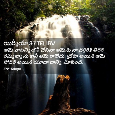 Picture 02 - యిర్మీయా 3:7 TELIRV - ఆమె వాటన్నిటినీ - Bible Verse Picture