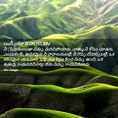 Picture 02 - యిర్మీయా 30:14 TELIRV - నీ ప్రేమికులంతా - Bible Verse Picture