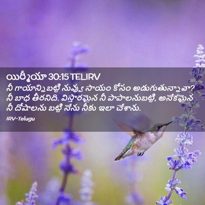 Picture 02 - యిర్మీయా 30:15 TELIRV - నీ గాయాన్నిబట్టి - Bible Verse Picture