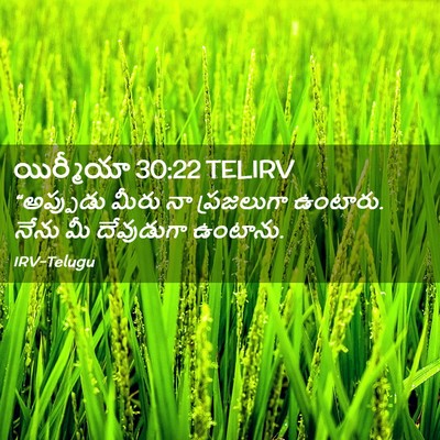 Picture 02 - యిర్మీయా 30:22 TELIRV - “అప్పుడు మీరు నా - Bible Verse Picture
