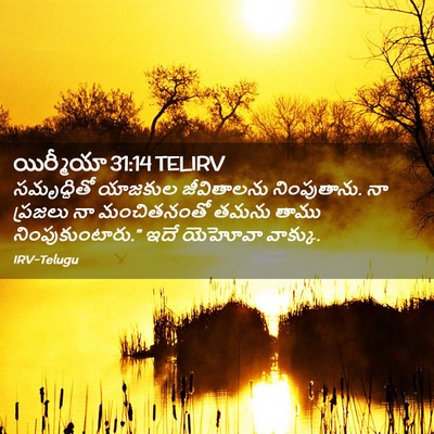 Picture 02 - యిర్మీయా 31:14 TELIRV - సమృద్ధితో యాజకుల - Bible Verse Picture