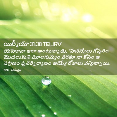 Picture 02 - యిర్మీయా 31:38 TELIRV - యెహోవా ఇలా - Bible Verse Picture