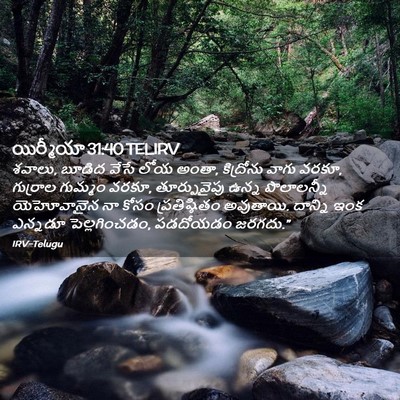 Picture 02 - యిర్మీయా 31:40 TELIRV - శవాలు, బూడిద వేసే - Bible Verse Picture