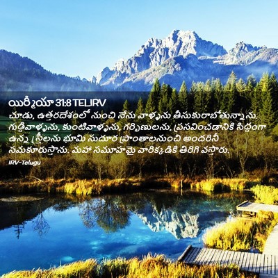 Picture 02 - యిర్మీయా 31:8 TELIRV - చూడు, ఉత్తరదేశంలో - Bible Verse Picture