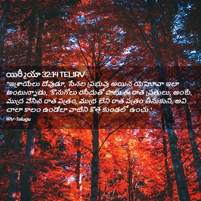 Picture 02 - యిర్మీయా 32:14 TELIRV - “ఇశ్రాయేలు - Bible Verse Picture