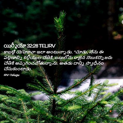 Picture 02 - యిర్మీయా 32:28 TELIRV - కాబట్టి యెహోవా - Bible Verse Picture