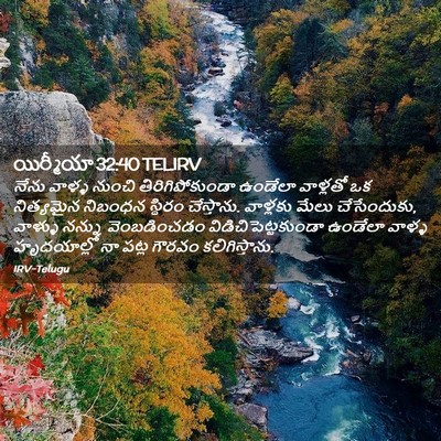 Picture 02 - యిర్మీయా 32:40 TELIRV - నేను వాళ్ళ నుంచి - Bible Verse Picture