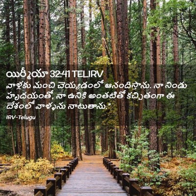 Picture 02 - యిర్మీయా 32:41 TELIRV - వాళ్లకు మంచి - Bible Verse Picture