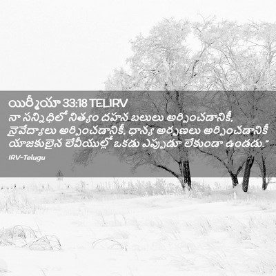 Picture 02 - యిర్మీయా 33:18 TELIRV - నా సన్నిధిలో - Bible Verse Picture