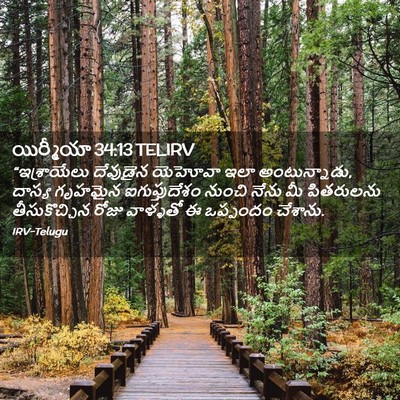 Picture 02 - యిర్మీయా 34:13 TELIRV - “ఇశ్రాయేలు - Bible Verse Picture